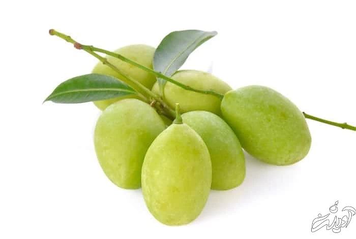 چغاله بادام